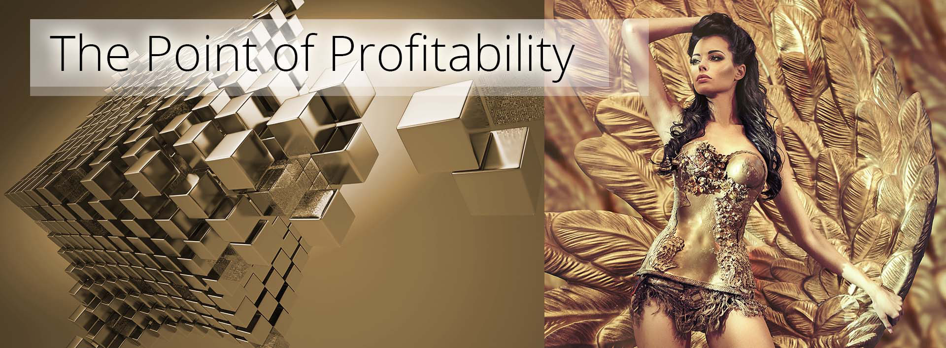 the point of profitability