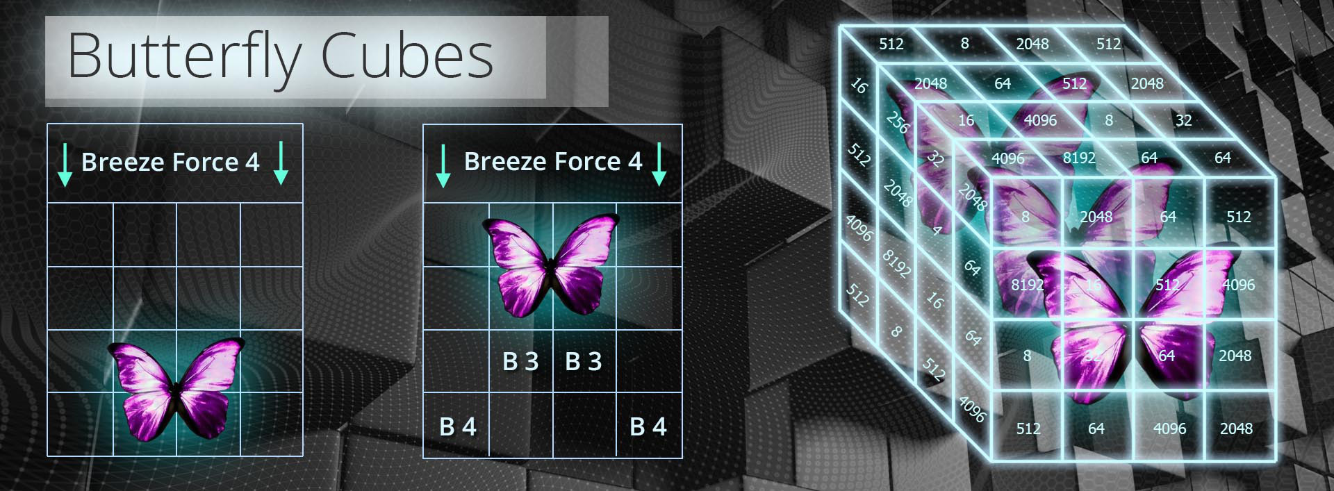 butterfly cubes