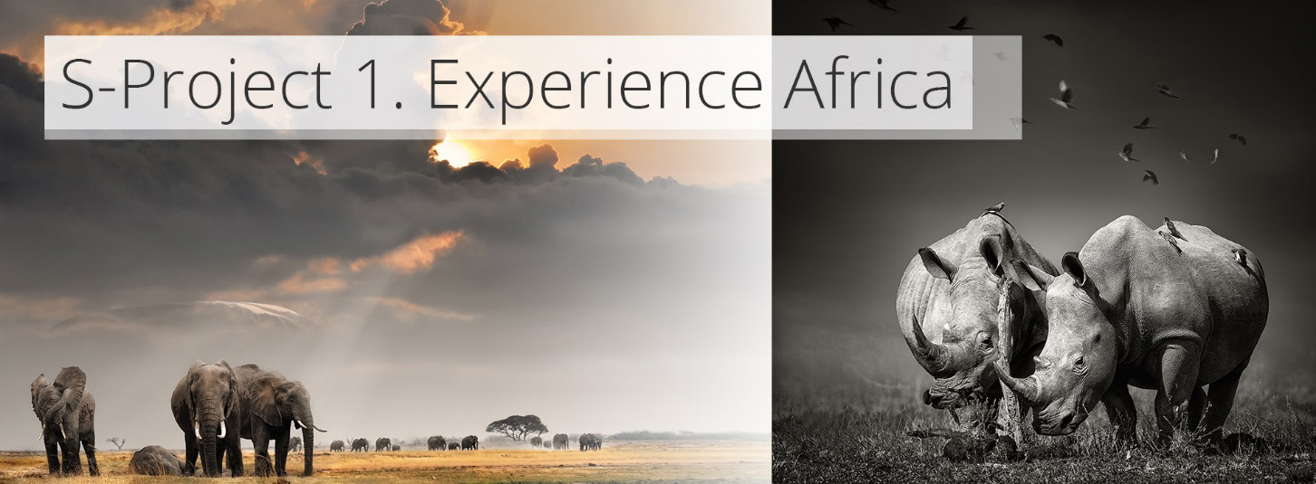 s-project - experience africa