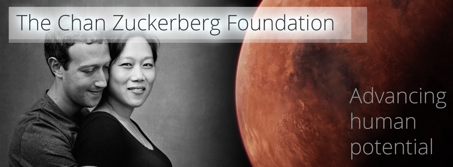 the chan zuckerberg foundation an ecnomic theory of everything