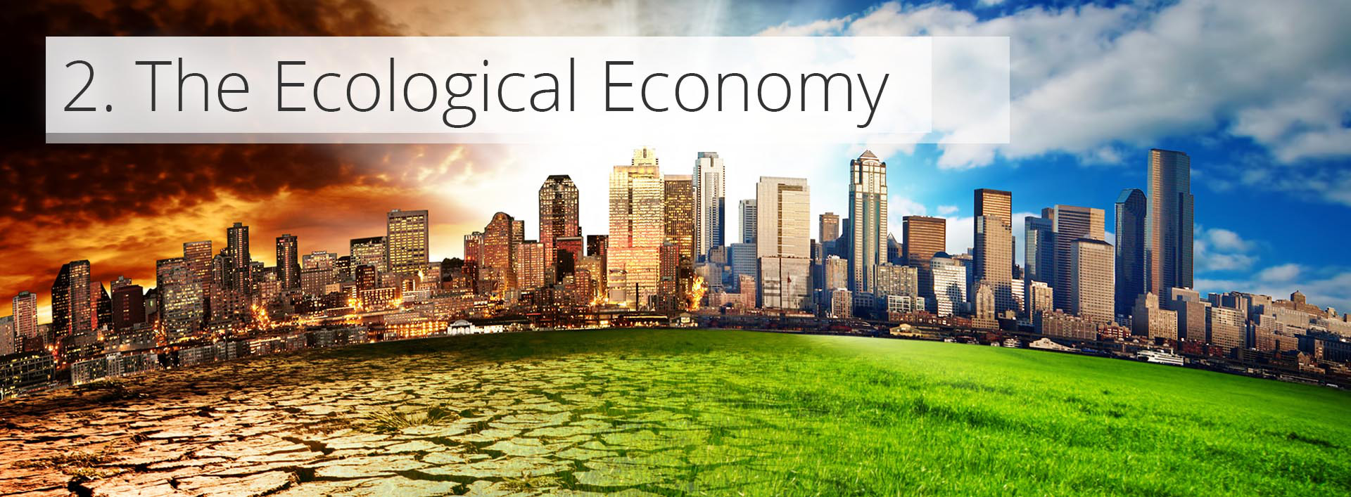 the ecological economy