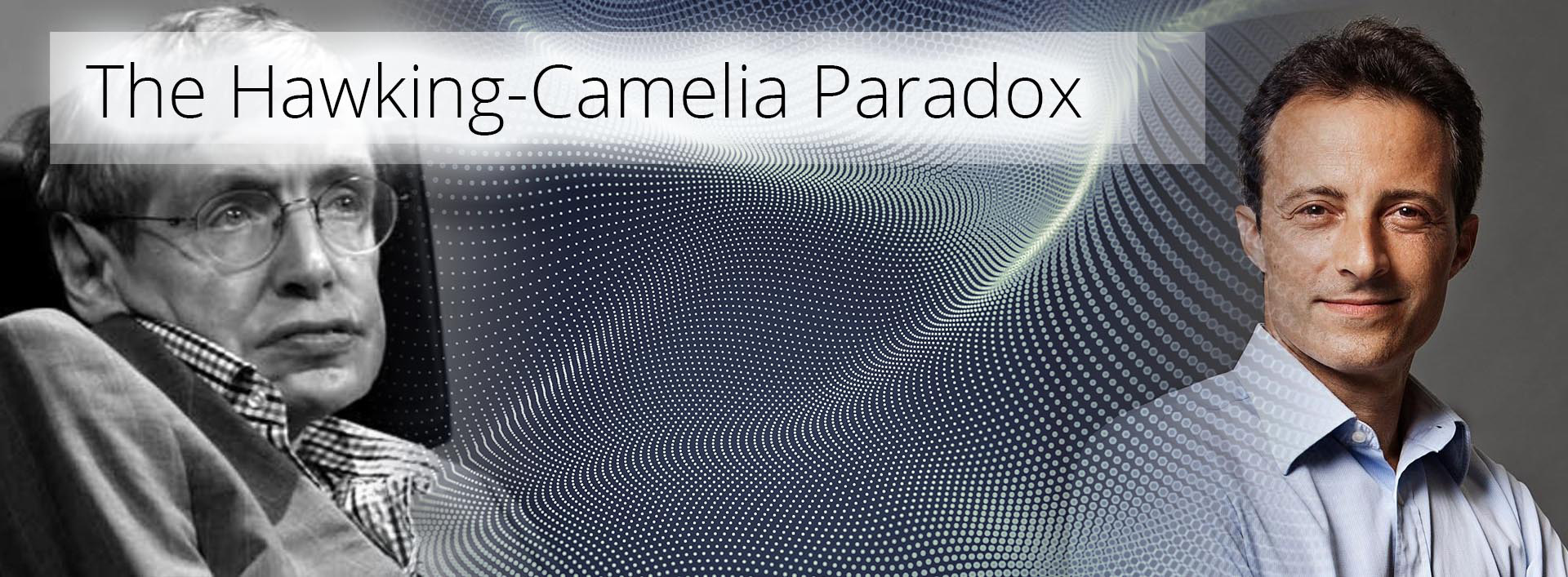 the hawking - camelia paradox