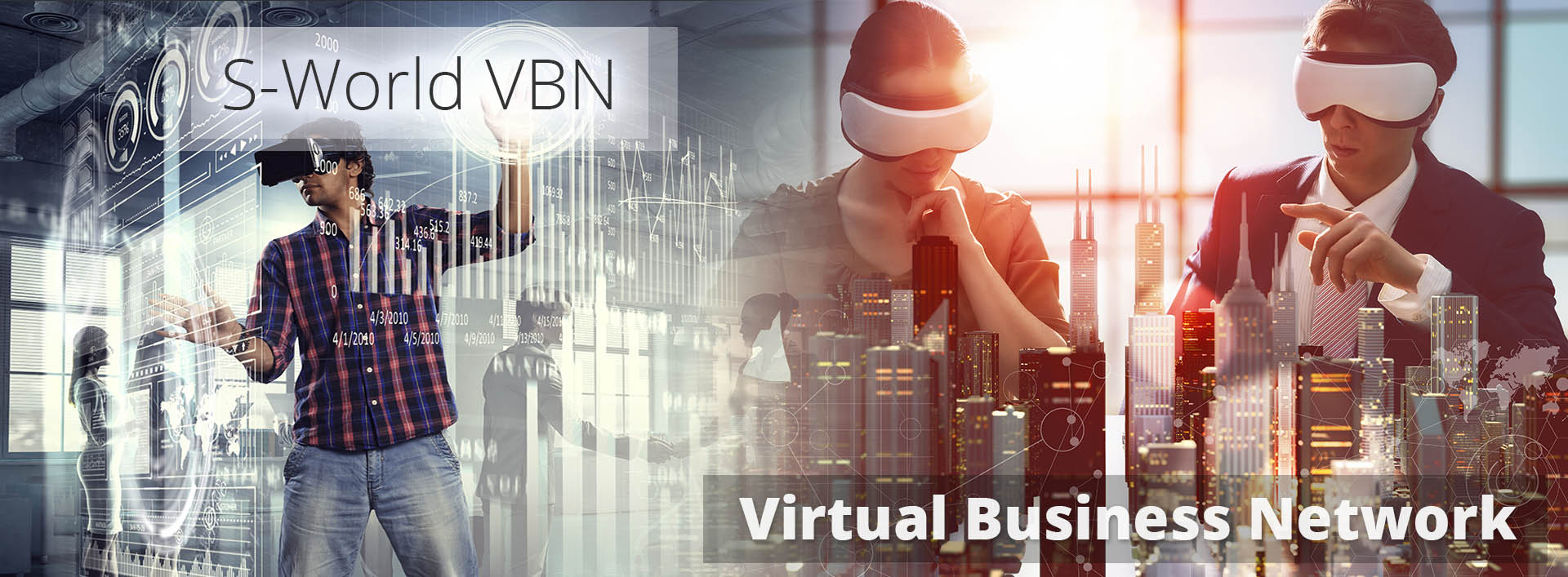 S-World VBN (Virtual Business Network)